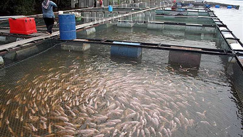 مصر وتونس تتبادلان