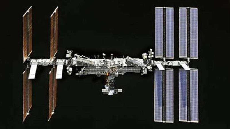 100 نوع من البكتيريا