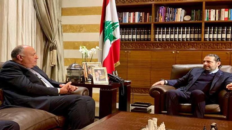 شكري يؤكد للحريري