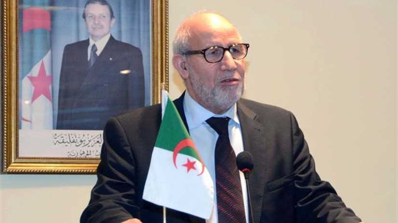 دربال: الانتخابات