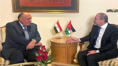 شكري والصفدي يناقشان تطورات القضية الفلسطينية والأزمة السورية