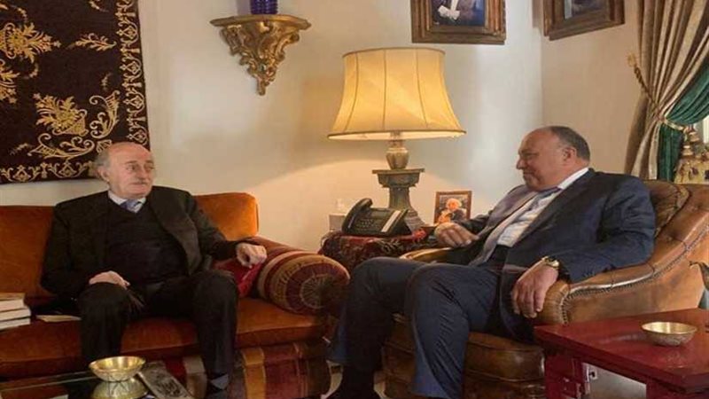 شكري يؤكد دعم مصر