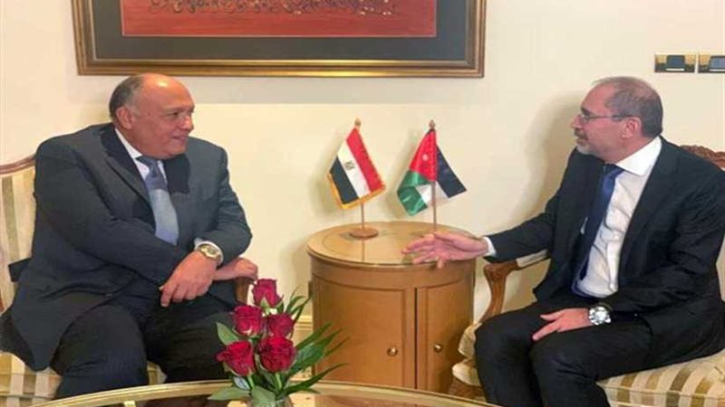 شكري والصفدي يناقشان