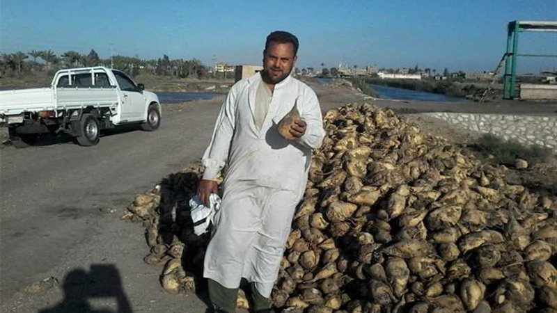 التموين: استلام محصول