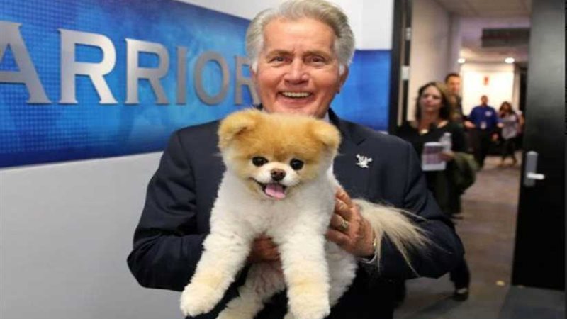 وفاة كلب أصيب بمرض