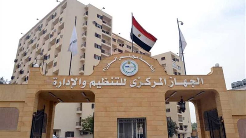 التنظيم والإدارة