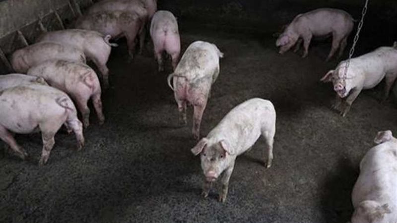 حالات إصابة جديدة