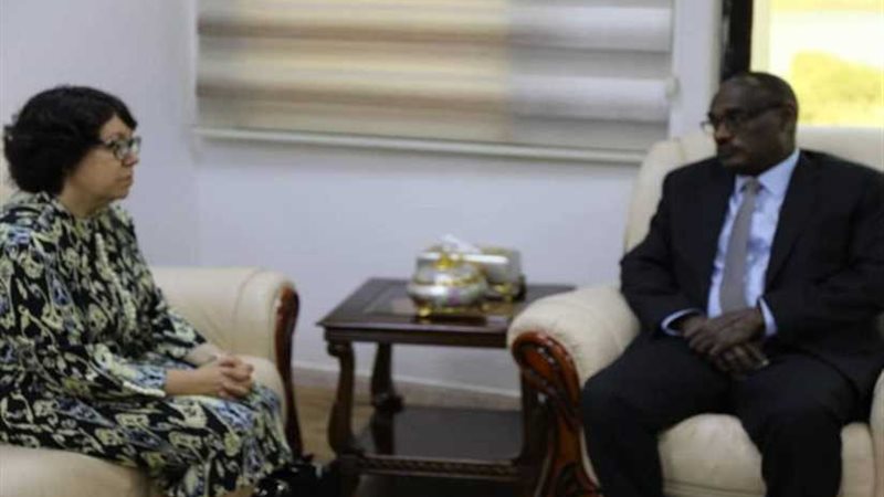 سفيرة البرازيل الجديدة