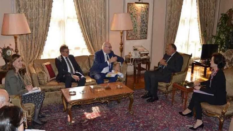 شكرى: نرحب بالتعاون