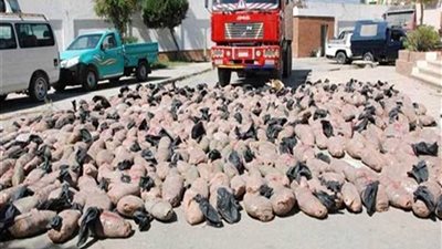 ضبط طن بانجو مخبأ أسفل حمولة 