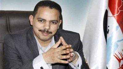 أشرف رشاد: الدبلوماسية البرلمانية أهم الأدوات الفاعلة في تعزيز علاقات مصر الخارجية