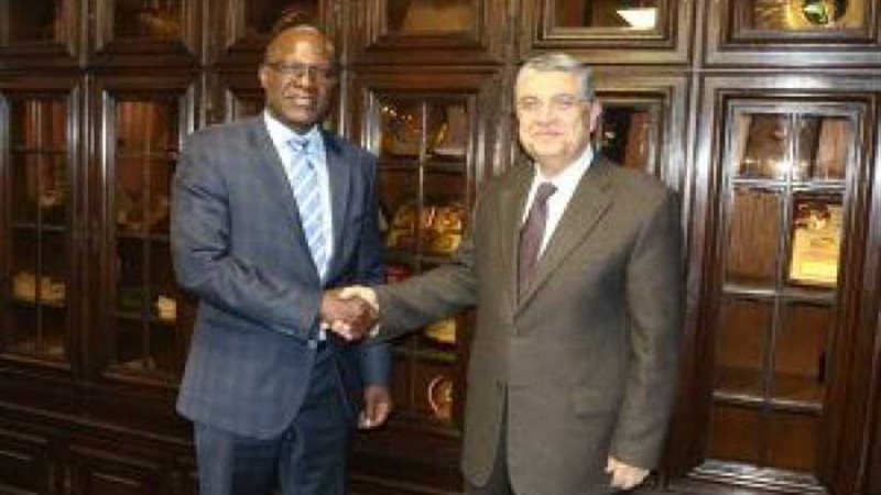 مصر وناميبيا تبحثان