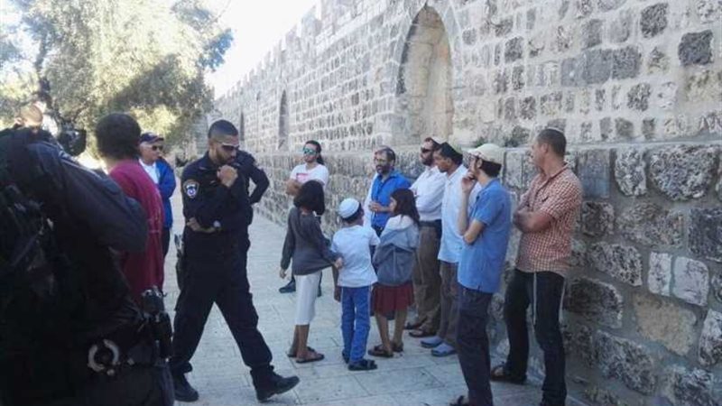 100 مستوطن وطالب