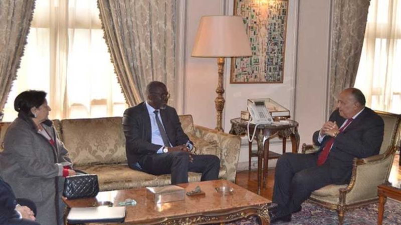 شكري : مصر تولى اهتماماً