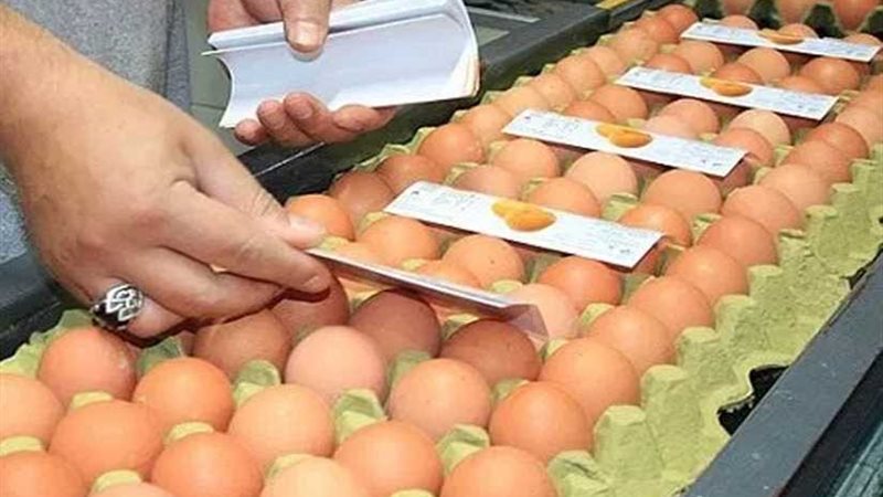 الزراعة تعلن فتح