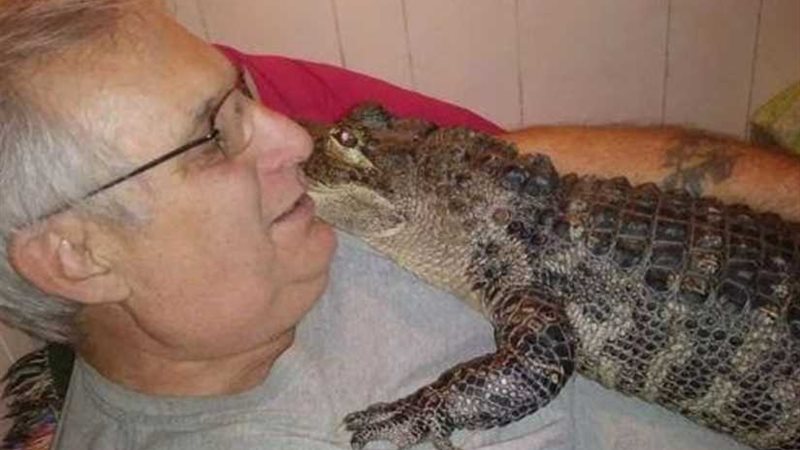 تمساح يساعد إنسانًا