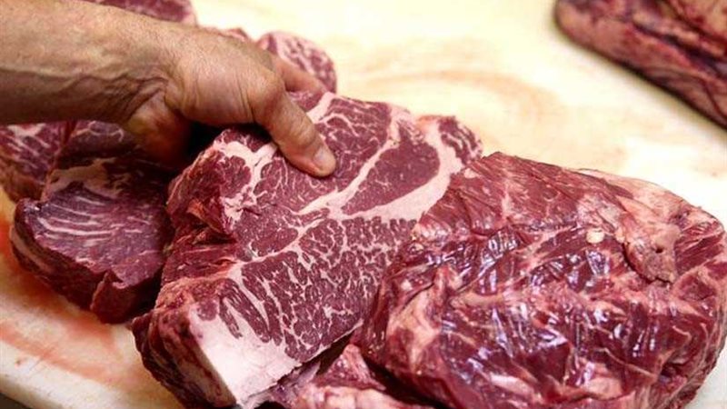 بيطري المنيا يعدم