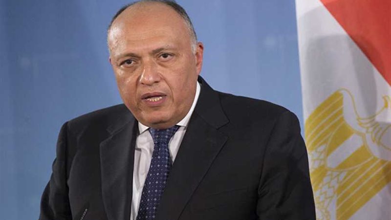 شكرى: الاتفاق على