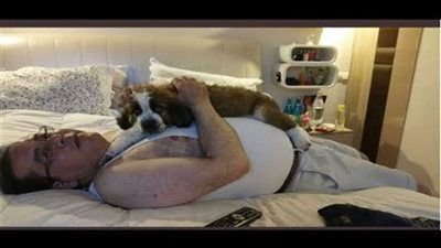 أيمن نور وآخرون.. طرف ثالث تخفى في عباءة الحزبية الليبرالية