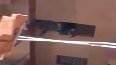 طفل البلكونة يشعل السوشيال ميديا.. 