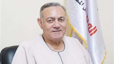 برلماني: صندوق رعاية المصريين بالخارج خطوة إيجابية