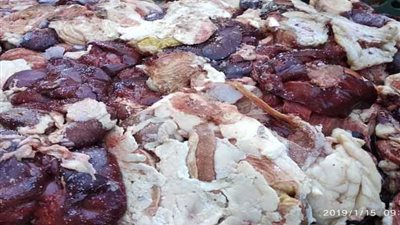 تشميع مزرعة دواجن تذبح الطيور المريضة