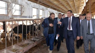 إعادة تشكيل مجلس إدارة مشروع عاداه للثروة الحيوانية والنباتية بكفر الدوار