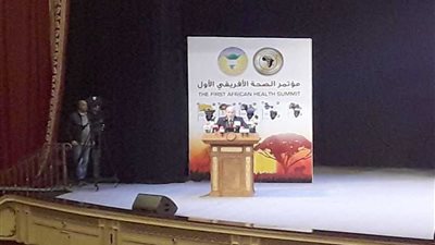 العصار: وزارة الإنتاج الحربي لديها الكثير من المشاريع بالدول الإفريقية