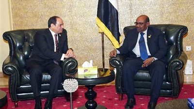 الزيارات المتبادلة بين الشقيقين 