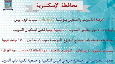 محافظة الإسكندرية توفر ألف فرصة عمل لشباب الإسكندرية