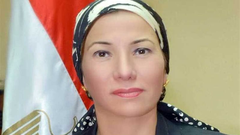 وزيرة البيئة : صالون