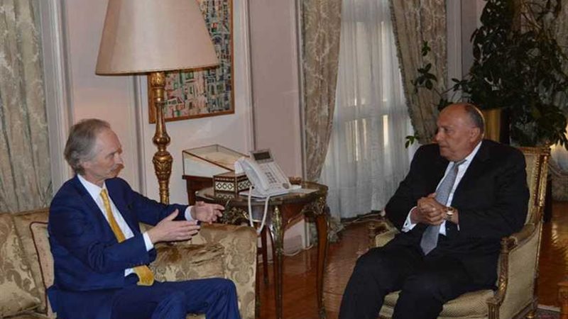 وزير الخارجية يستقبل