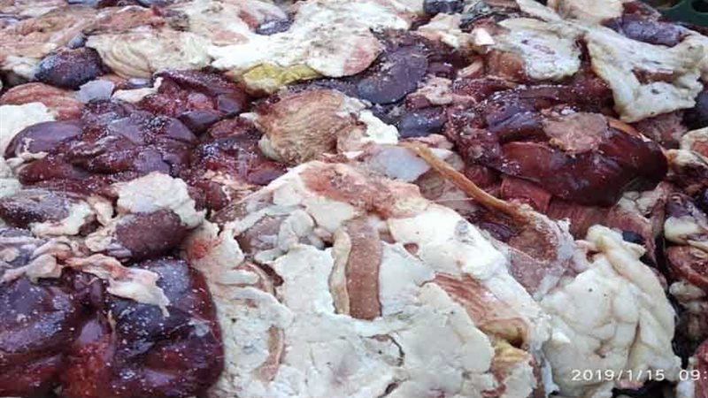 تشميع مزرعة دواجن