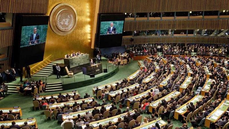 تقرير دولي : 56 مليون