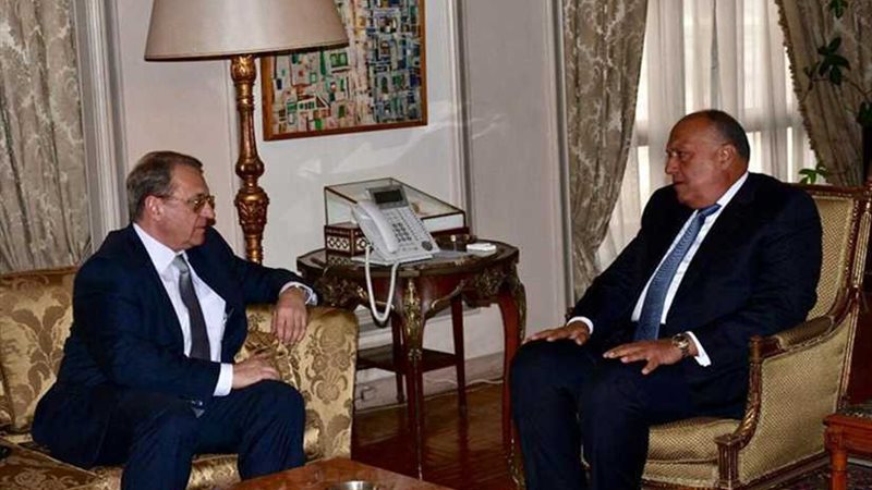 شكري يستقبل مندوب