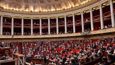 برلمانية فرنسية : باريس تساند القاهرة في حربها ضد الإرهاب