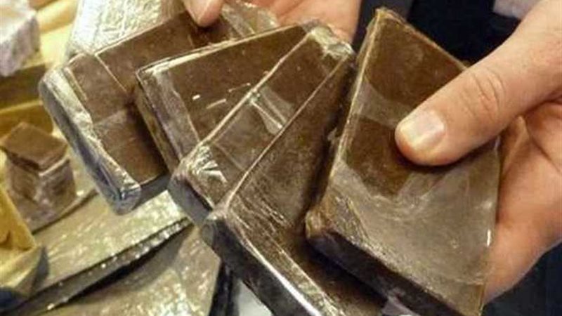 ضبط 100 طربة حشيش
