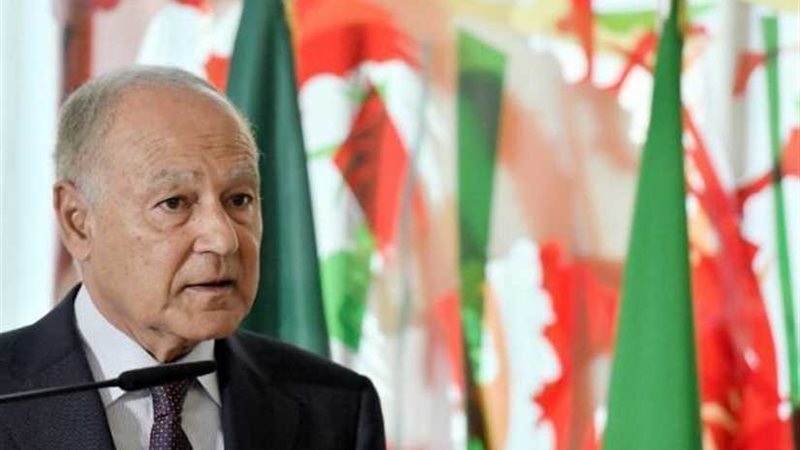 أبو الغيط يرحب بتشكيل