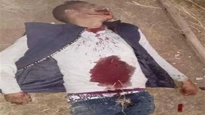 يقتلون سائقًا في كفر الزيات لسرقة 