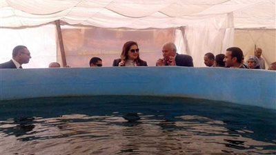 وزيرة التخطيط تتفقد مشروع الاستزراع السمكي والصوب الزراعية بالخارجة