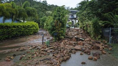 التماسيح والأفاعي في شوارع أستراليا (صور)