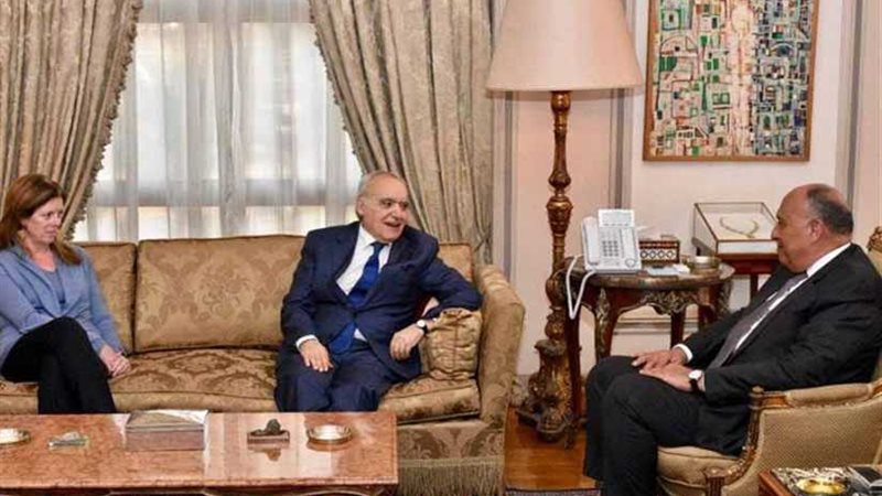 شكري يؤكد موقف مصر