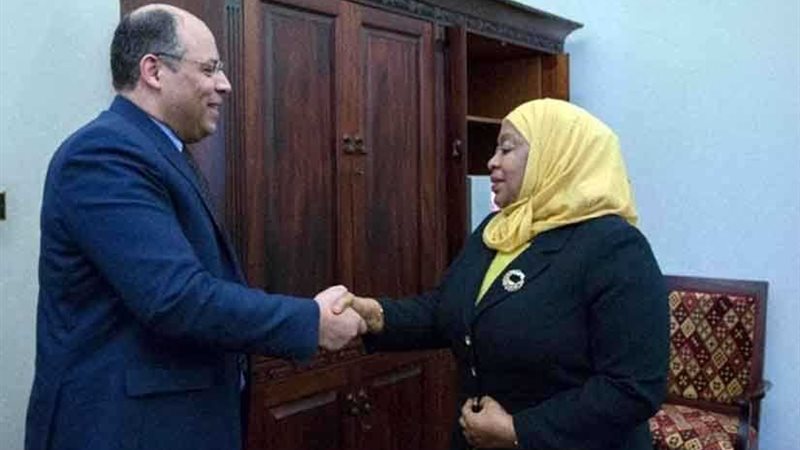 السفير المصري في