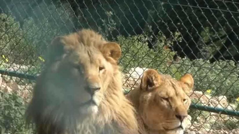 محمية طبيعية بالأردن