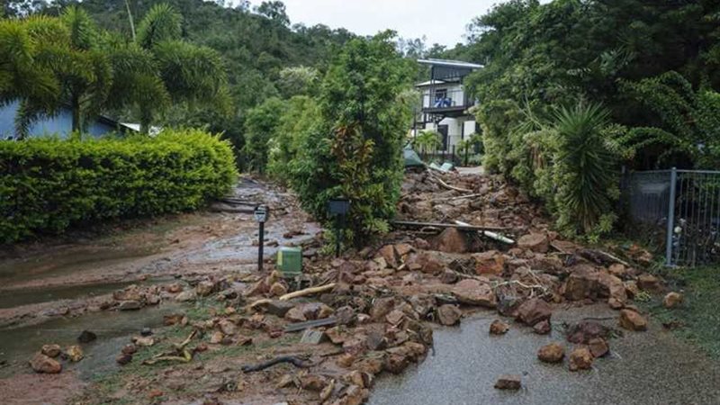 التماسيح والأفاعي