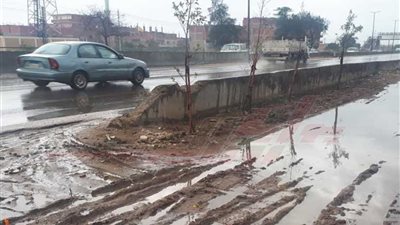 أمطار غزيرة بالقليوبية.. واستعدادات قصوى للطقس السيئ