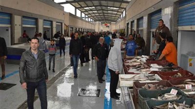 إقبال كبير لأبناء بورسعيد على سوق الأسماك الجديد بعد افتتاحه