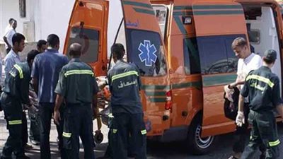 إصابة طالب فى مشاجرة مع جزار بالقناطر الخيرية