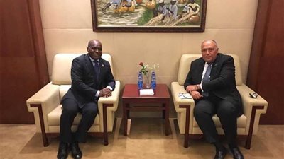 شكري يلتقي وزير خارجية سيراليون على هامش اجتماعات المجلس التنفيذي للاتحاد الأفريقي