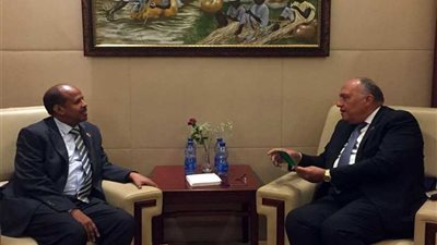 وزير الخارجية يبحث إقامة منطقة حرة لوجيستية مصرية في جيبوتي